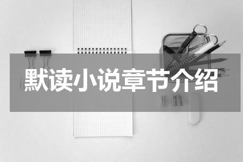 默读小说章节介绍