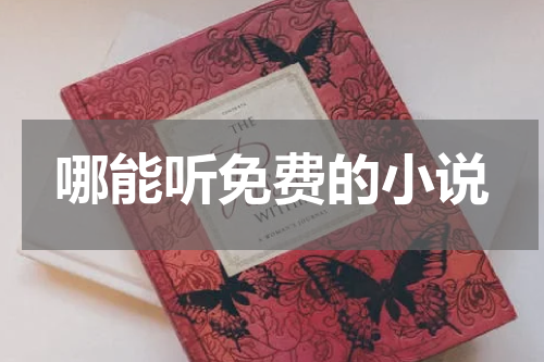 哪能听免费的小说