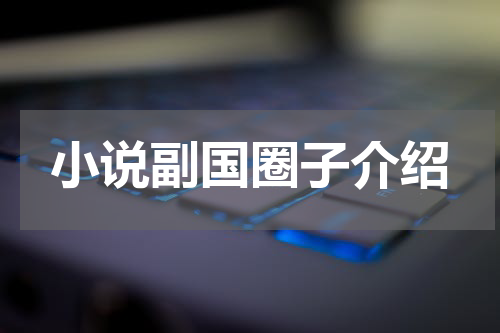 小说副国圈子介绍