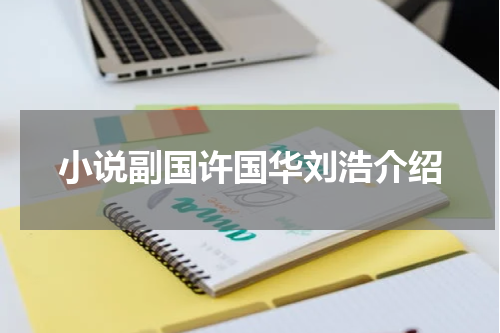 小说副国许国华刘浩介绍