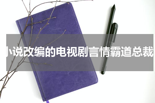 小说改编的电视剧言情霸道总裁