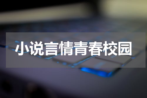 小说言情青春校园