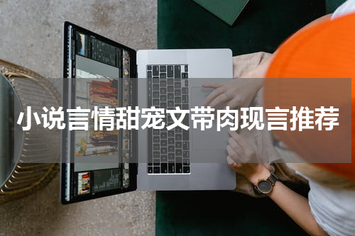 小说言情甜宠文带肉现言推荐