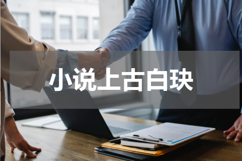 小说上古白玦