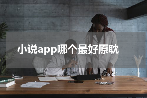 小说app哪个最好原耽