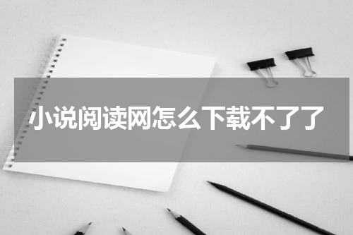 小说阅读网怎么下载不了了