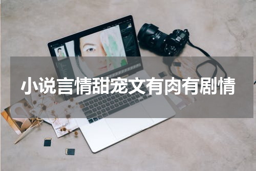 小说言情甜宠文有肉有剧情
