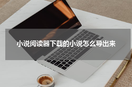 小说阅读器下载的小说怎么导出来