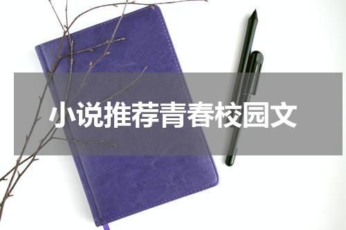 小说推荐青春校园文