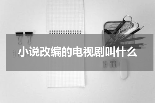 小说改编的电视剧叫什么