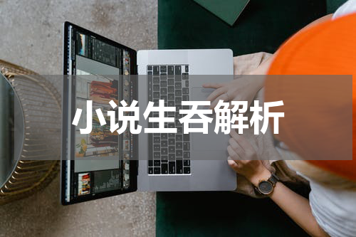 小说生吞解析
