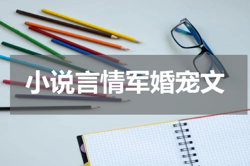 小说言情军婚宠文