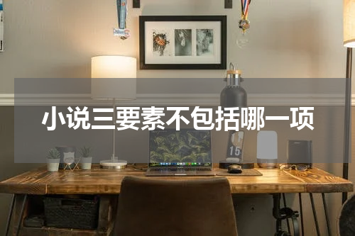 小说三要素不包括哪一项
