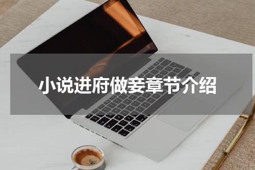 小说进府做妾章节介绍