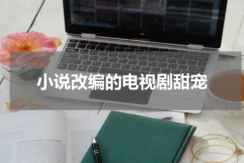小说改编的电视剧甜宠