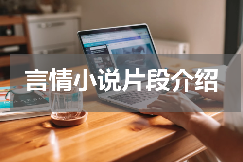言情小说片段介绍