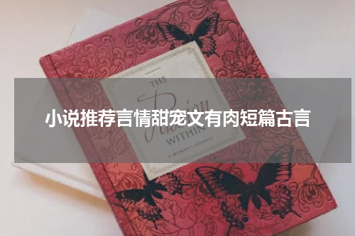 小说推荐言情甜宠文有肉短篇古言