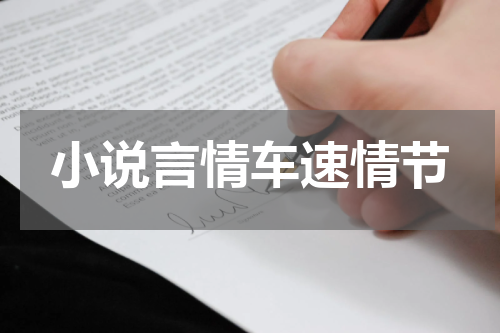 小说言情车速情节
