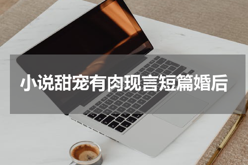 小说甜宠有肉现言短篇婚后
