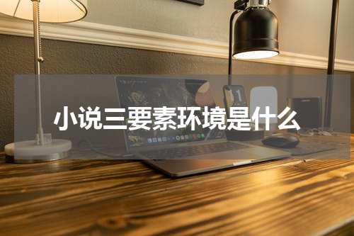小说三要素环境是什么