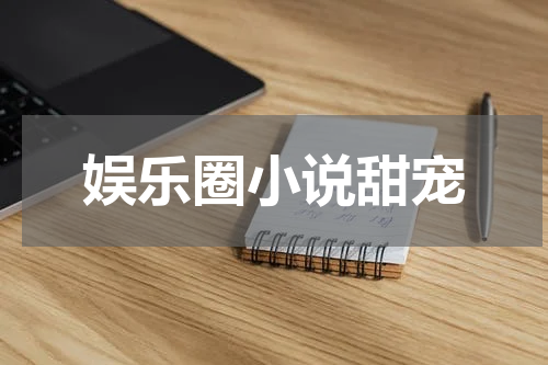 娱乐圈小说甜宠