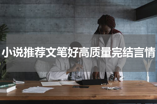 小说推荐文笔好高质量完结言情