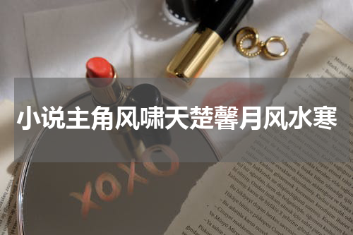 小说主角风啸天楚馨月风水寒