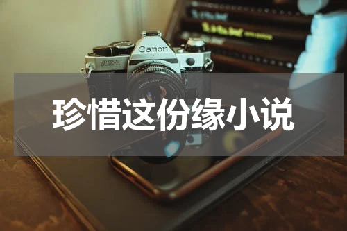 珍惜这份缘小说