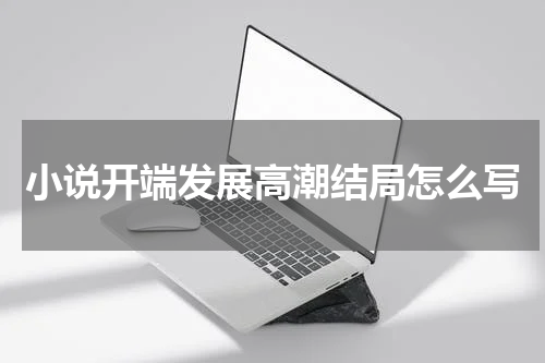 小说开端发展高潮结局怎么写
