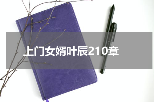 上门女婿叶辰210章