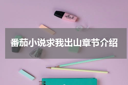 番茄小说求我出山章节介绍