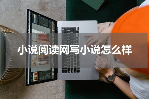 小说阅读网写小说怎么样