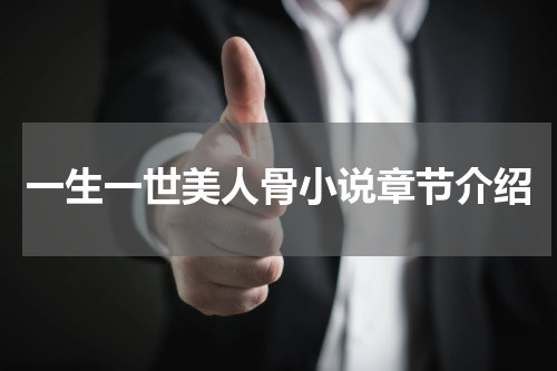 一生一世美人骨小说章节介绍