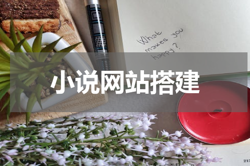 小说网站搭建