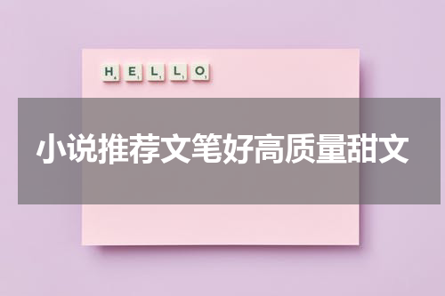 小说推荐文笔好高质量甜文