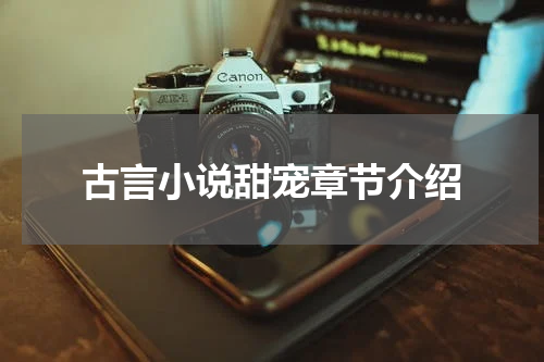 古言小说甜宠章节介绍