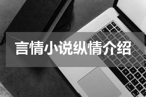 言情小说纵情介绍