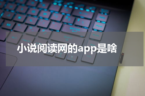 小说阅读网的app是啥