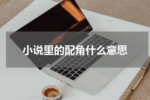小说里的配角什么意思