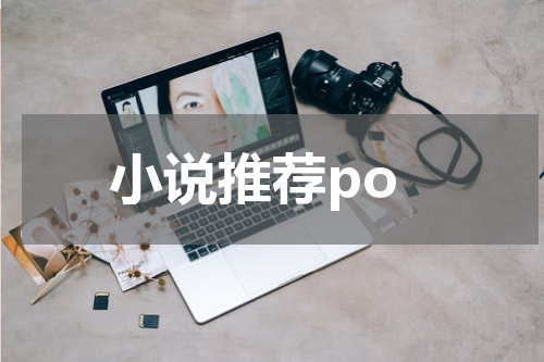 小说推荐po