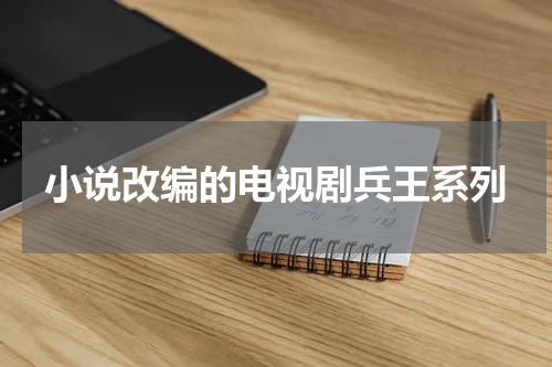 小说改编的电视剧兵王系列