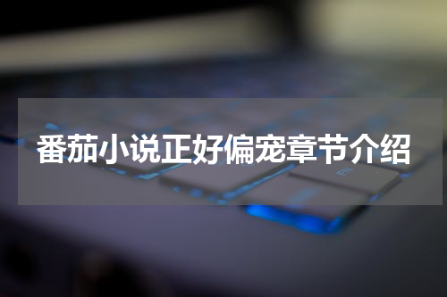 番茄小说正好偏宠章节介绍