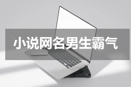 小说网名男生霸气
