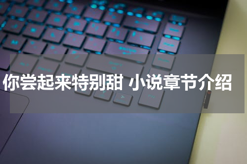 你尝起来特别甜 小说章节介绍