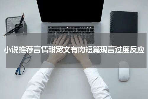 小说推荐言情甜宠文有肉短篇现言过度反应