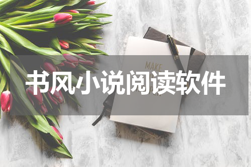 书风小说阅读软件
