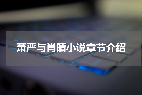 萧严与肖晴小说章节介绍
