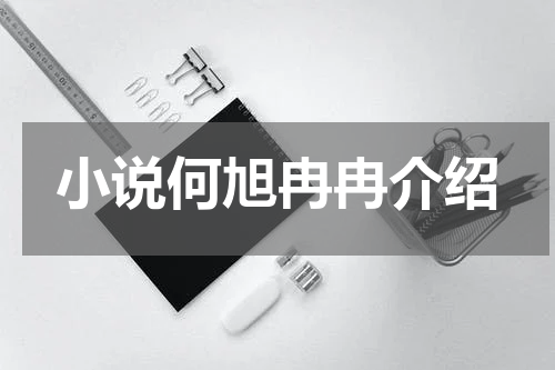 小说何旭冉冉介绍