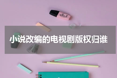 小说改编的电视剧版权归谁