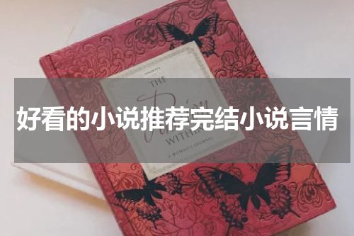 好看的小说推荐完结小说言情